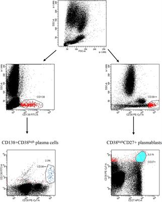 Increased expression of the ectoenzyme CD38 in peripheral blood plasmablasts and plasma cells of patients with systemic sclerosis